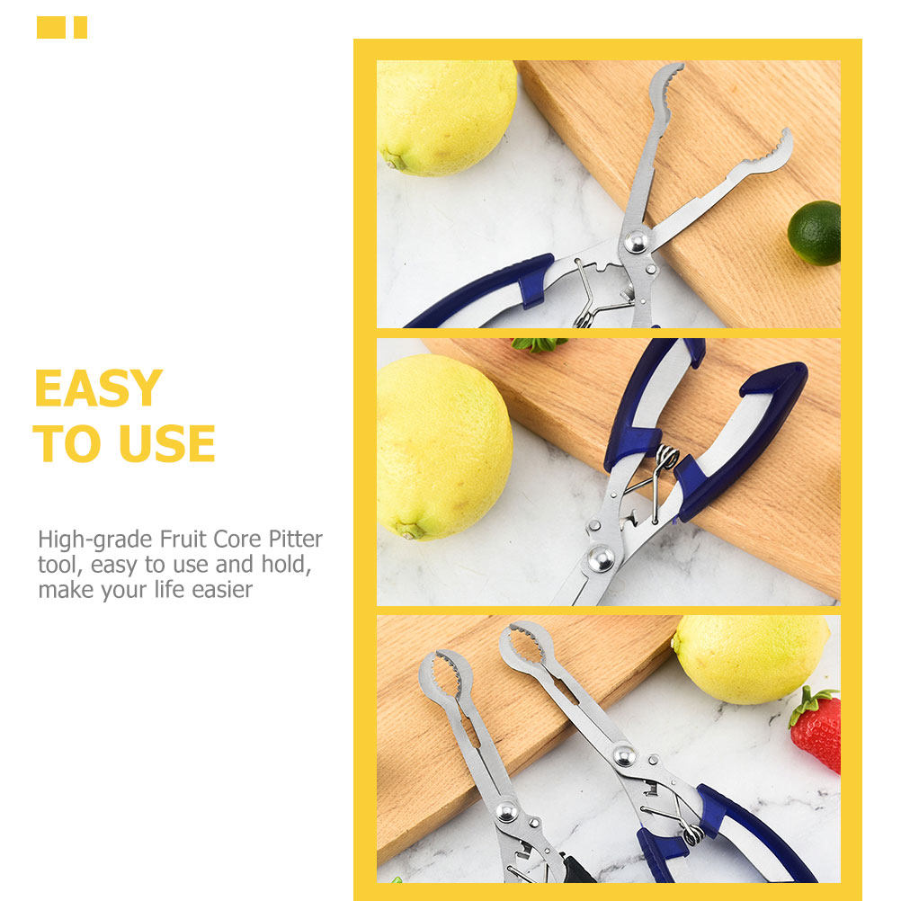 Alıç Çekirdeği Çıkarma Aleti T - Kitchen Gadgets & Toys incelemesi ve fiyatı