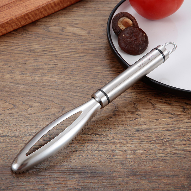 Paslanmaz Balık Terazisi Kazım - Kitchen Gadget Amazon incelemesi ve fiyatı